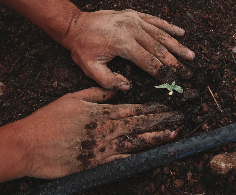 Gardening